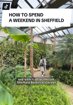 Delicious lunch at Cambridge Street Collective, Sheffield's vibrant food hall with diverse options.