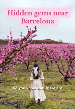 Explore Catalunya's rich culture, history, and gastronomy with hidden gems like Priorat, Reus, Aitona, Siurana, and Miravet.